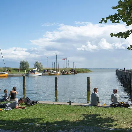 Haubenlerche 32 Fuhlendorf (Mecklenburg-Vorpommern)