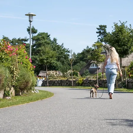 Feriehus Haubenlerche 32 Fuhlendorf (Mecklenburg-Vorpommern)